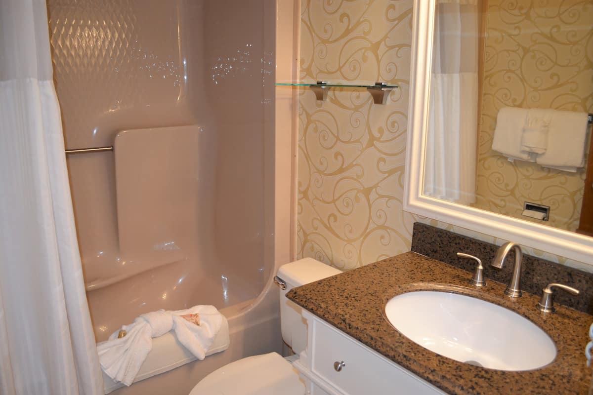 combined shower/bathtub, hair dryer, towels