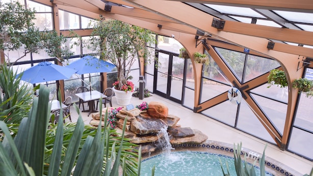 Un área de piscina interior con una cascada, rodeada de plantas en macetas y sombrillas azules.