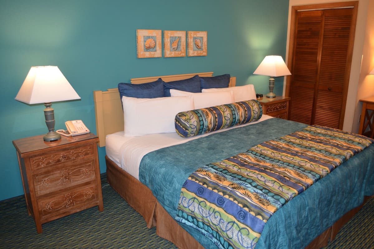 Room, 1 King Bed, Non Smoking, Pool View | In-room safe, blackout drapes, iron/ironing board, bed sheets