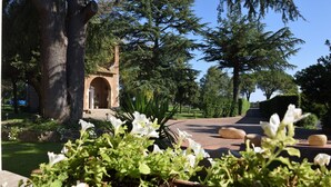 Un jardín con un sendero, un árbol grande y una estructura de ladrillo al fondo.