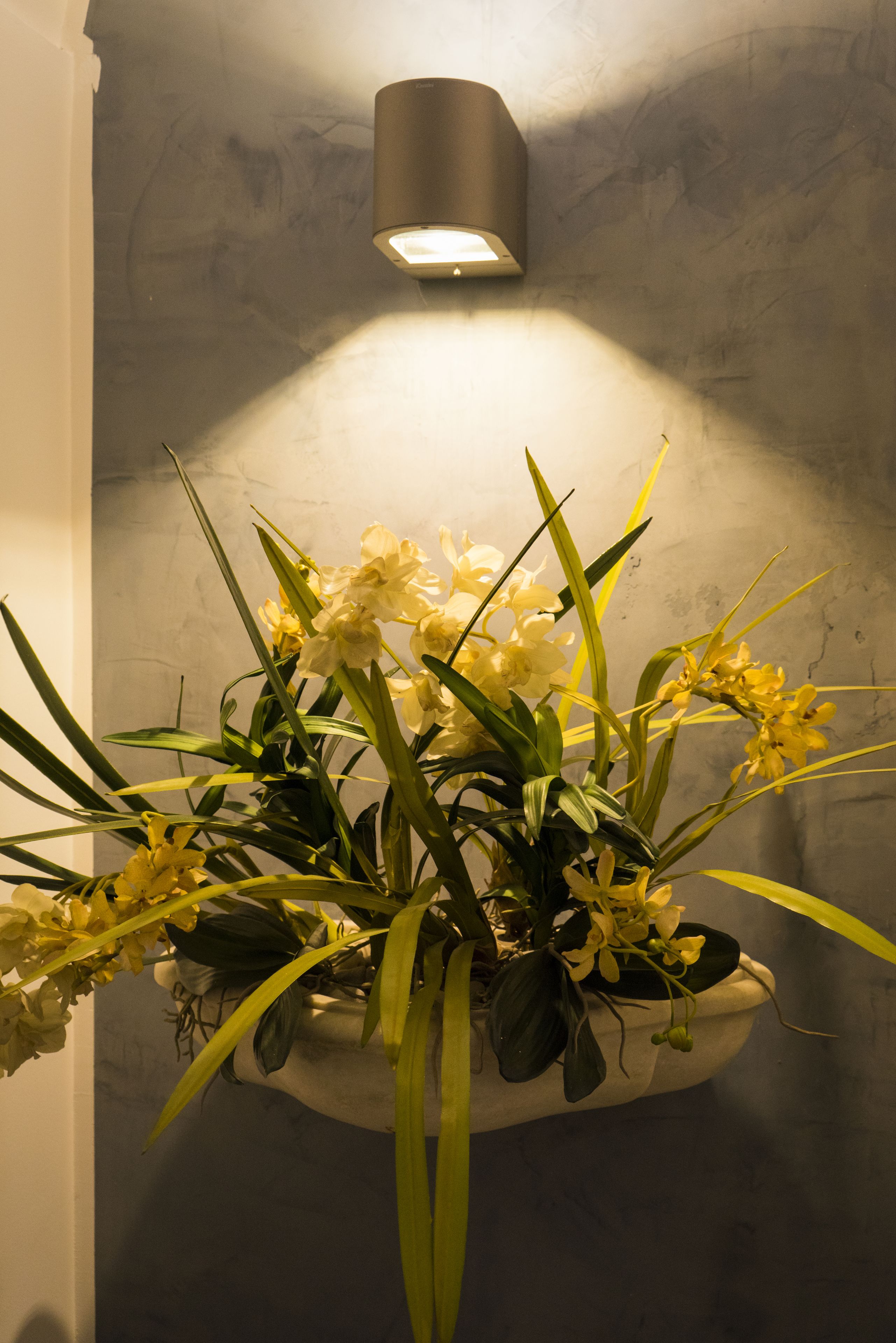 A wall-mounted light fixture illuminating a floral arrangement.
