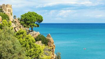 A coastal landscape with rocky cliffs, a prominent tree, and a clear blue sea.