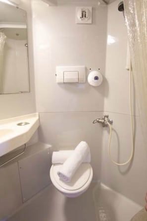 Shower, eco-friendly toiletries, hair dryer, towels