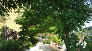 A stone pathway leading through a garden with various plants and a fountain. - Helios Splendid (Corfu)