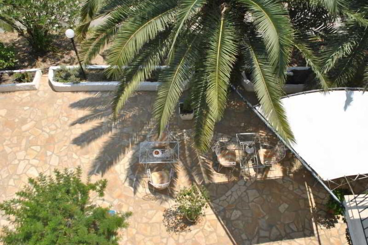Un patio con suelo de piedra, una palmera y una bicicleta.