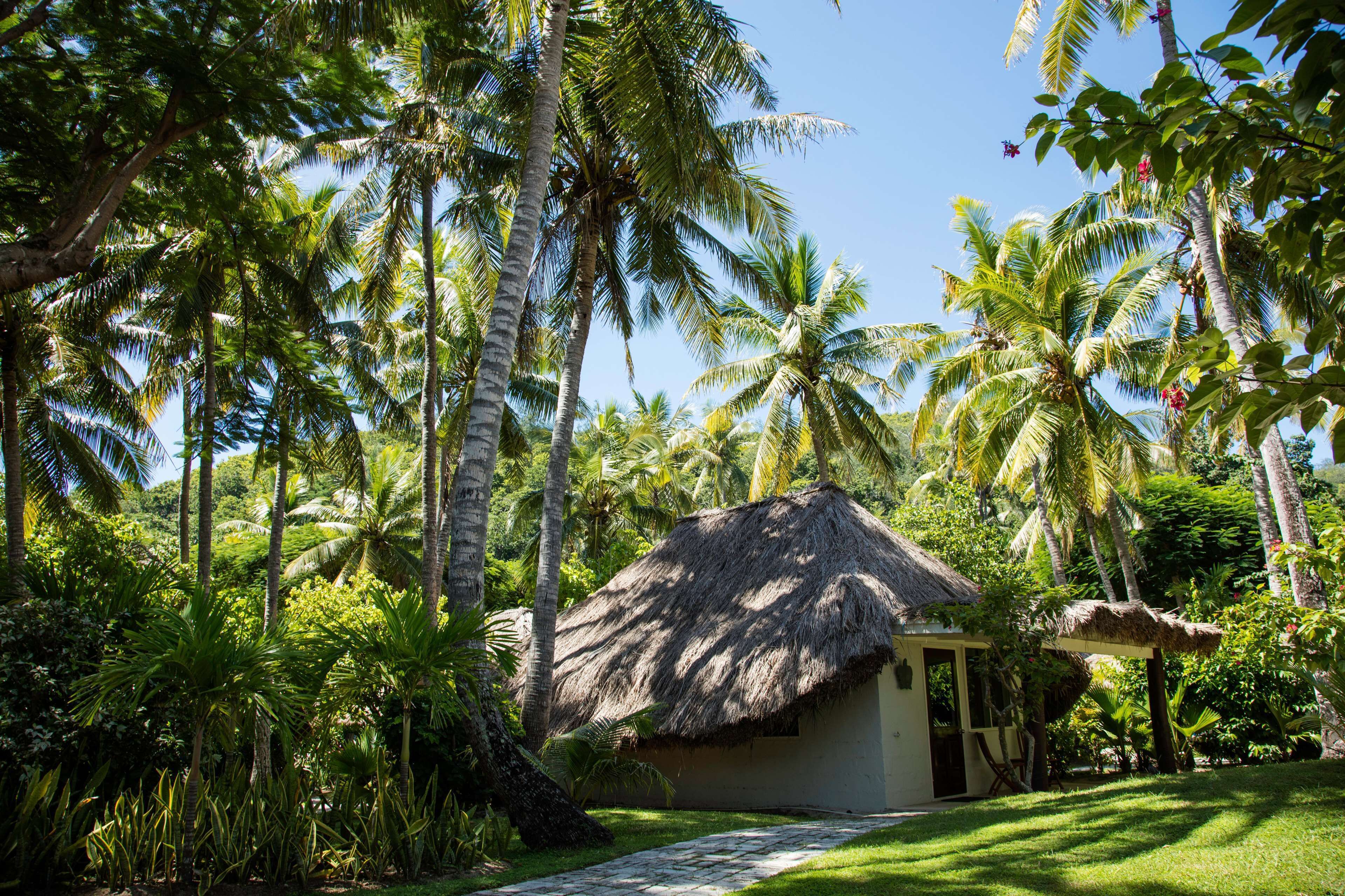 A thatched-roof hut surrounded by lush tropical vegetation.
