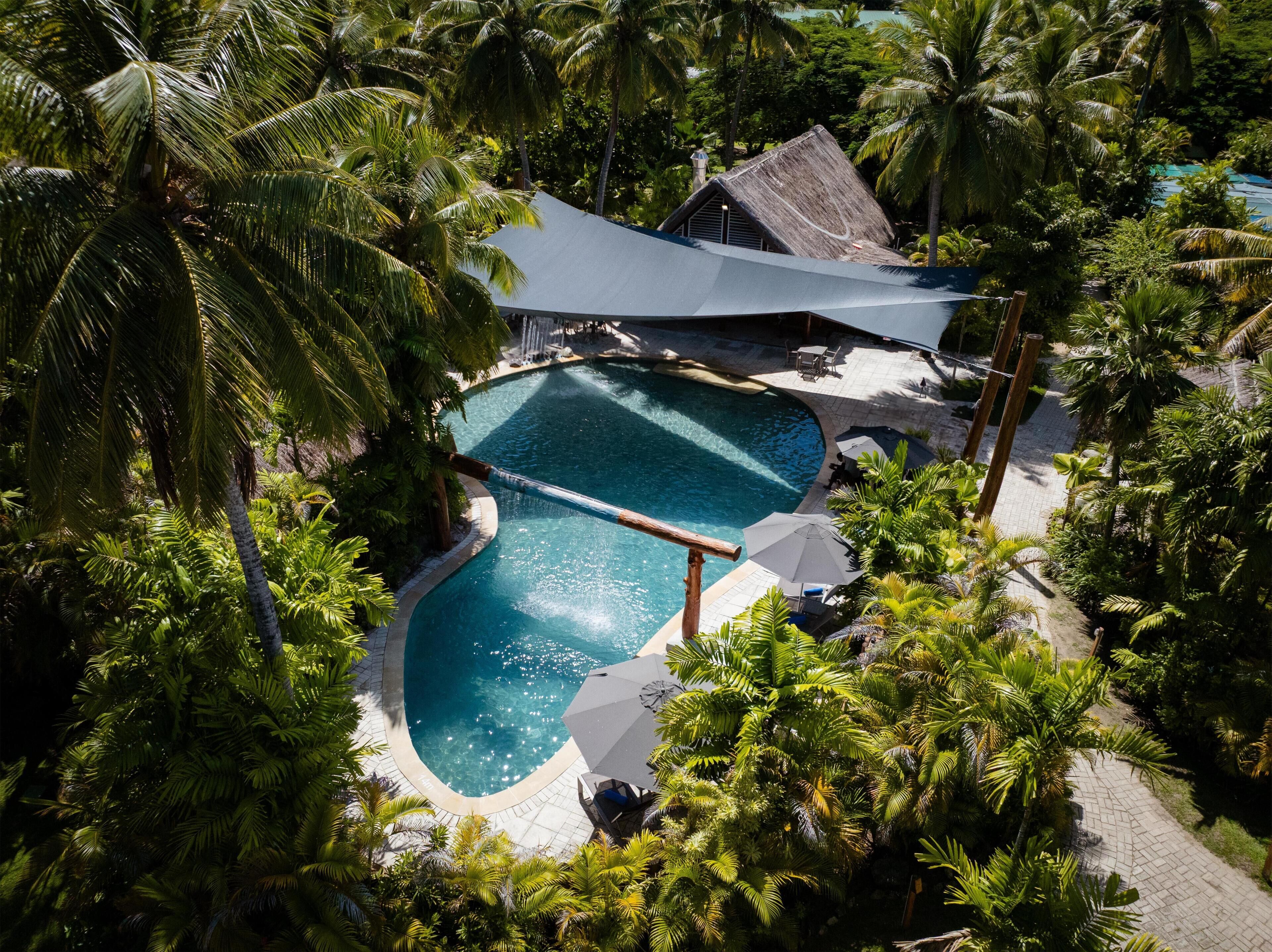 A swimming pool surrounded by palm trees and a thatched-roof building.