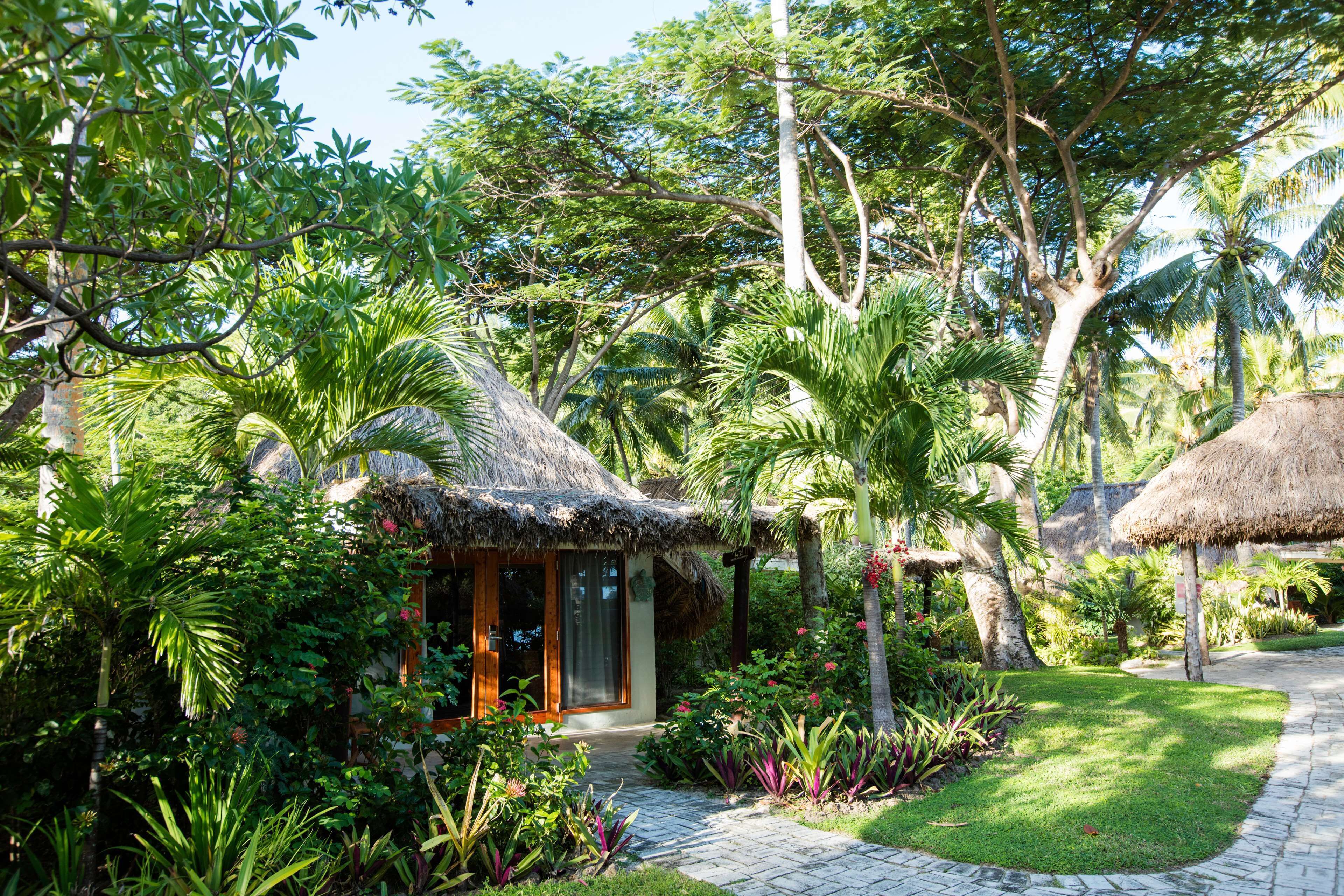 Un jardín tropical con una estructura de techo de paja, abundante vegetación y un sendero pavimentado.