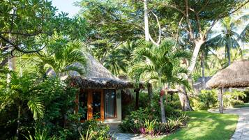 Un jardín tropical con una estructura de techo de paja, abundante vegetación y un sendero pavimentado.
