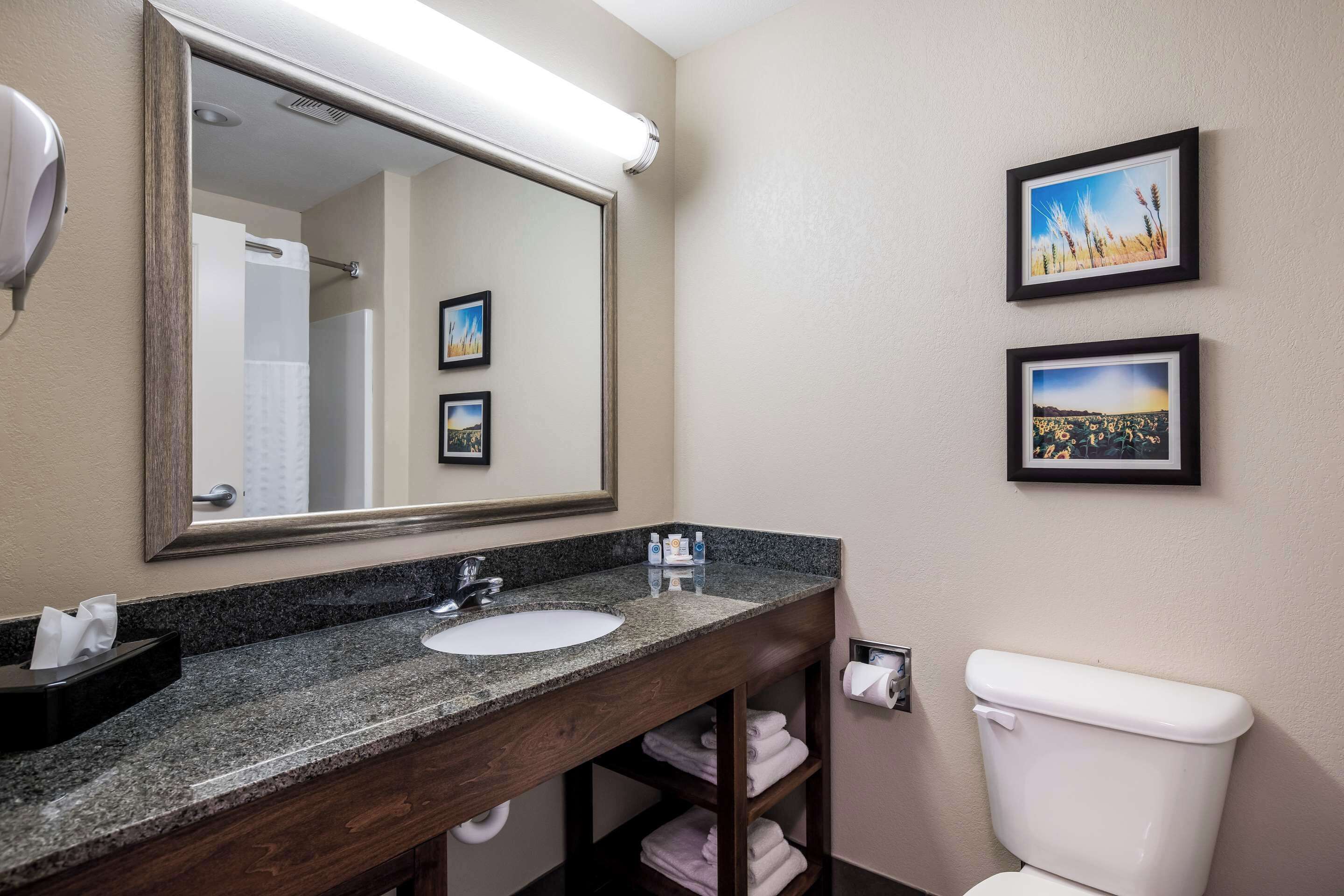 A bathroom with a granite countertop sink, a mirror, a toilet, and two framed pictures on the wall.