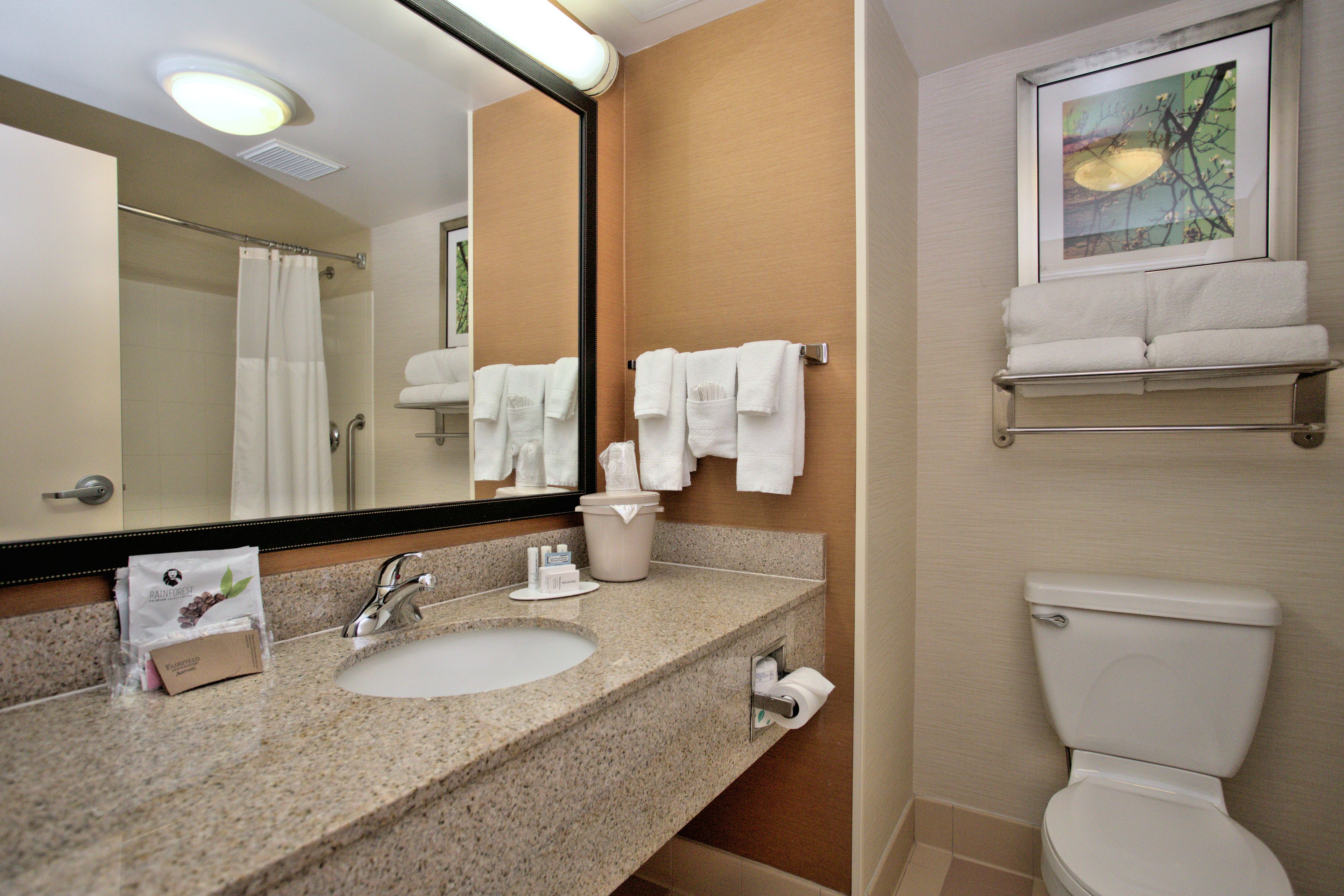 combined shower/bathtub, free toiletries, hair dryer, towels