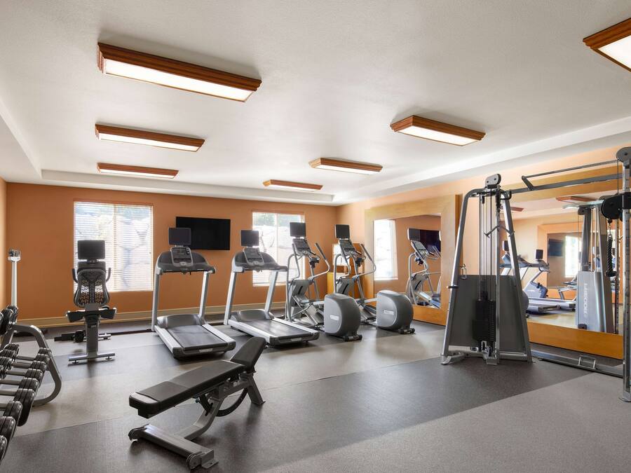 A gym with treadmills, elliptical machines, and free weights.