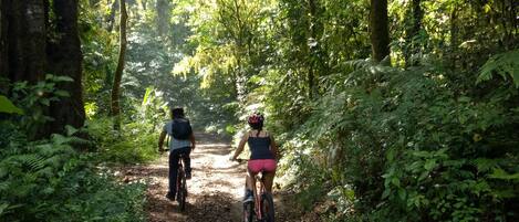A forest path with two cyclists.