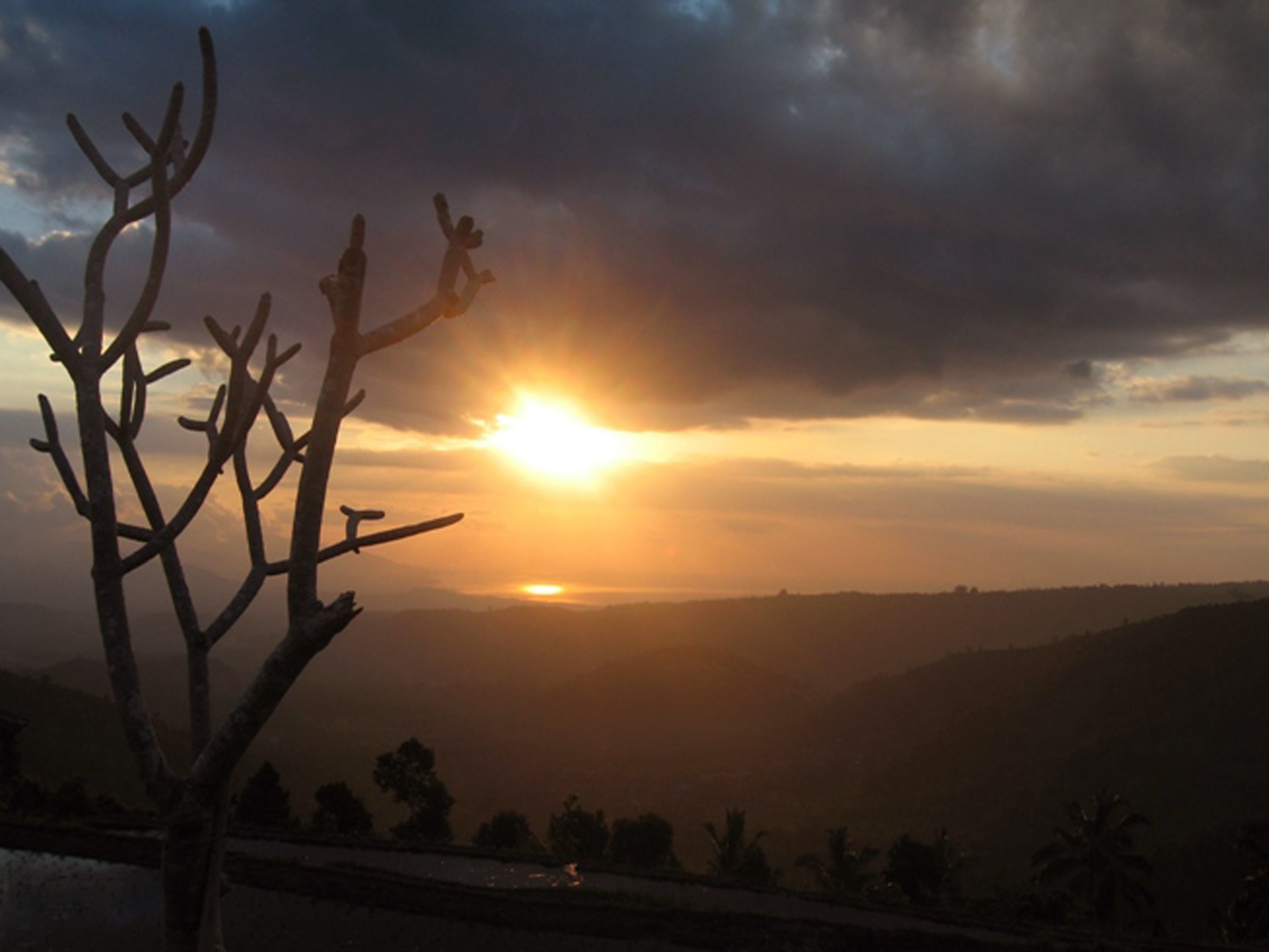Ein Sonnenuntergang über einer hügeligen Landschaft, im Vordergrund die Silhouette eines Baumes.