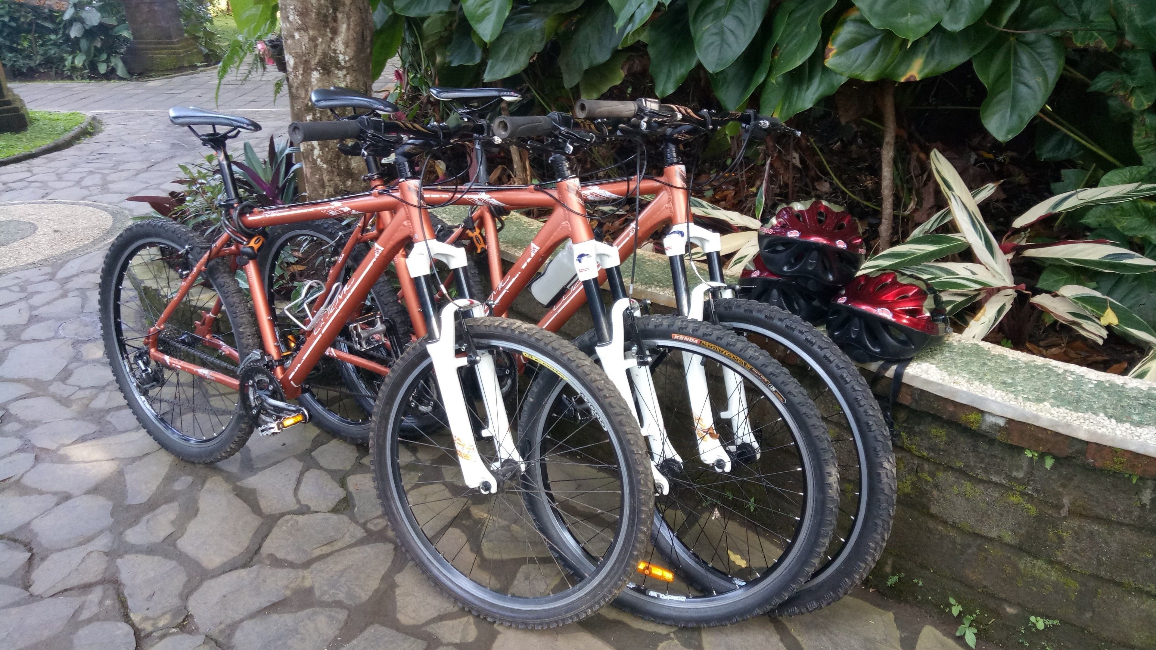 Una fila de bicicletas estacionadas sobre un sendero de piedra.