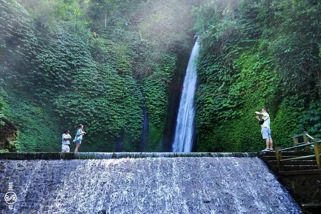 Una cascada rodeada de vegetación exuberante y una plataforma de observación con escalones.
