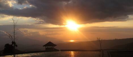 A sunset over a rice paddy with a small pavilion in the middle.