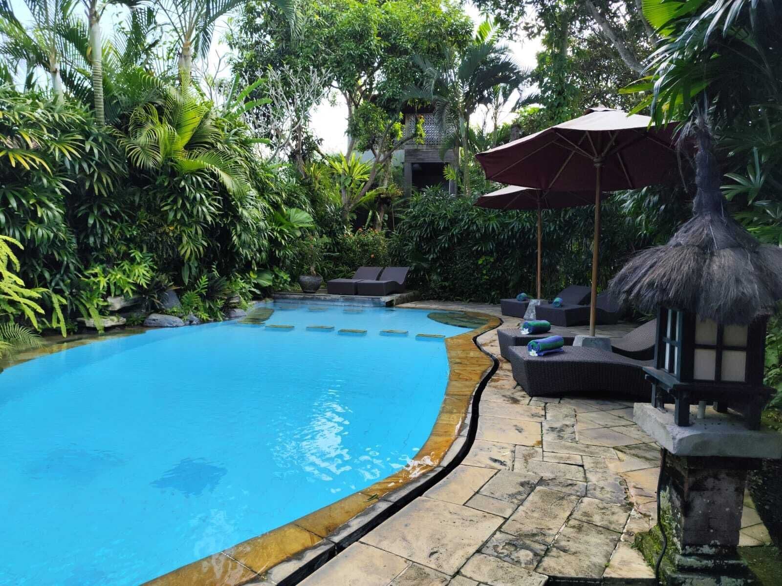 Piscine extérieure, chaises longues