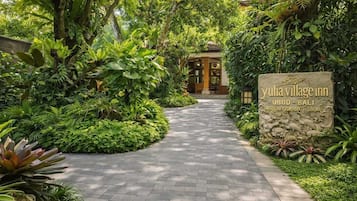 Vườn