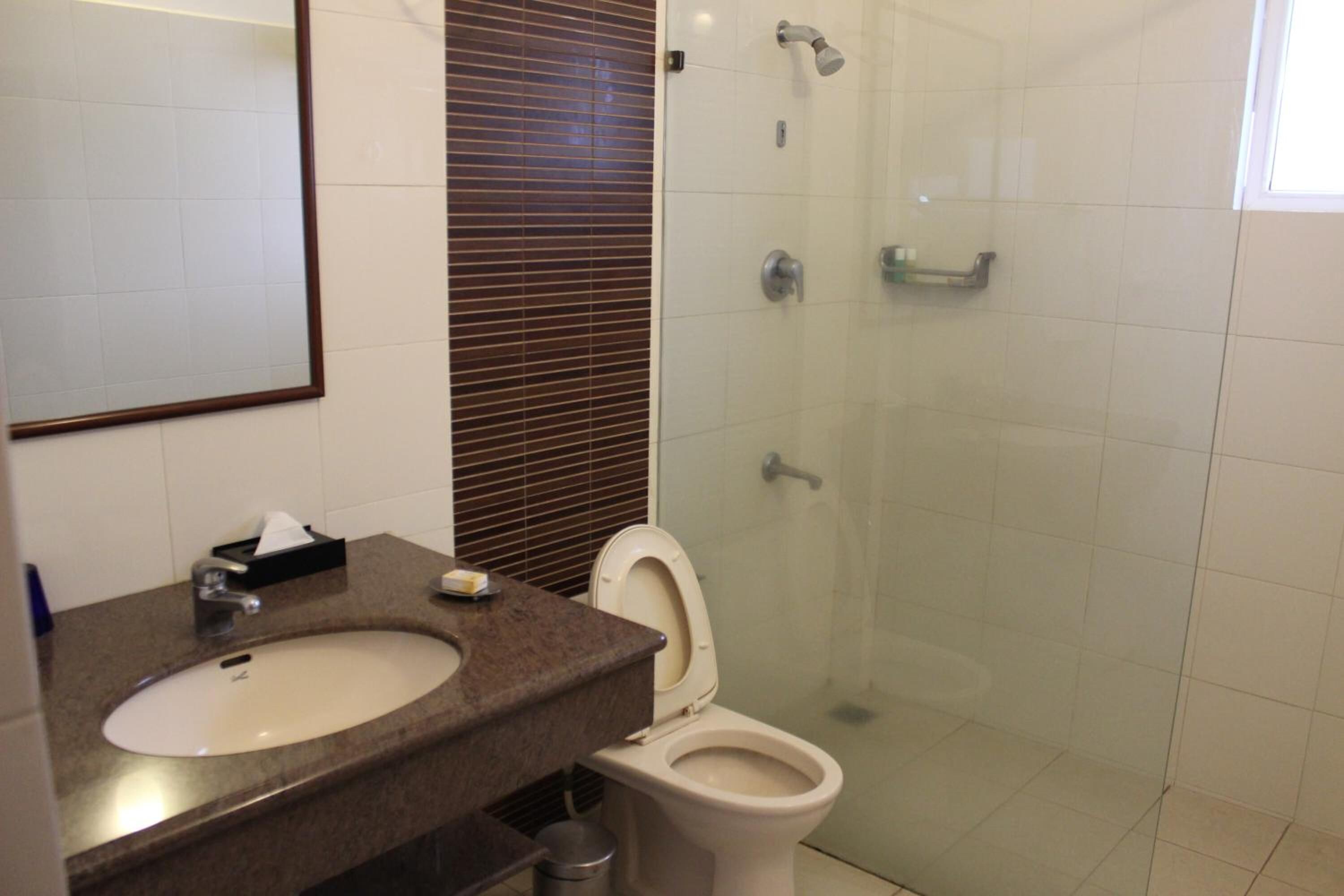 combined shower/bathtub, rainfall showerhead, hair dryer, bathrobes