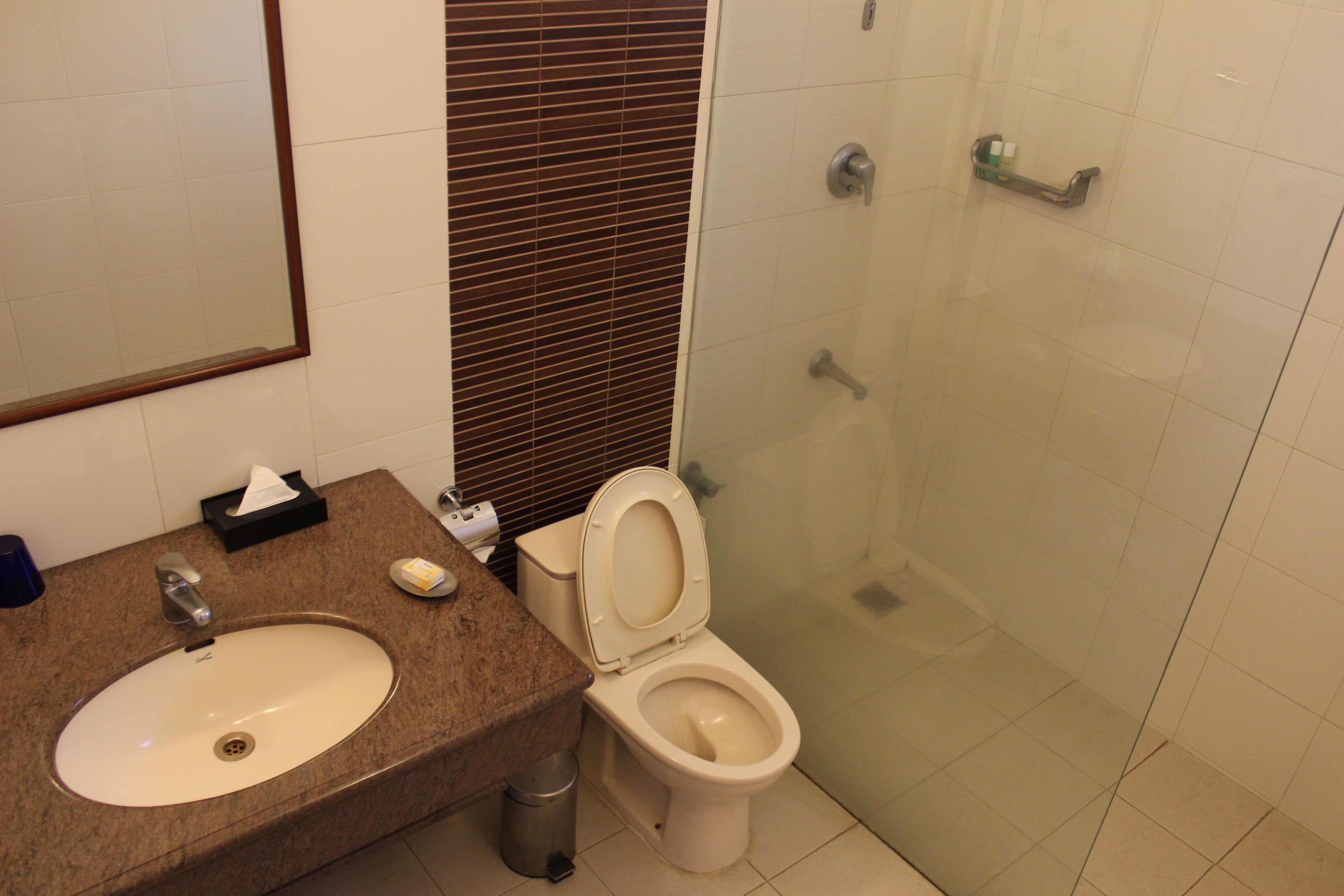 combined shower/bathtub, rainfall showerhead, hair dryer, bathrobes