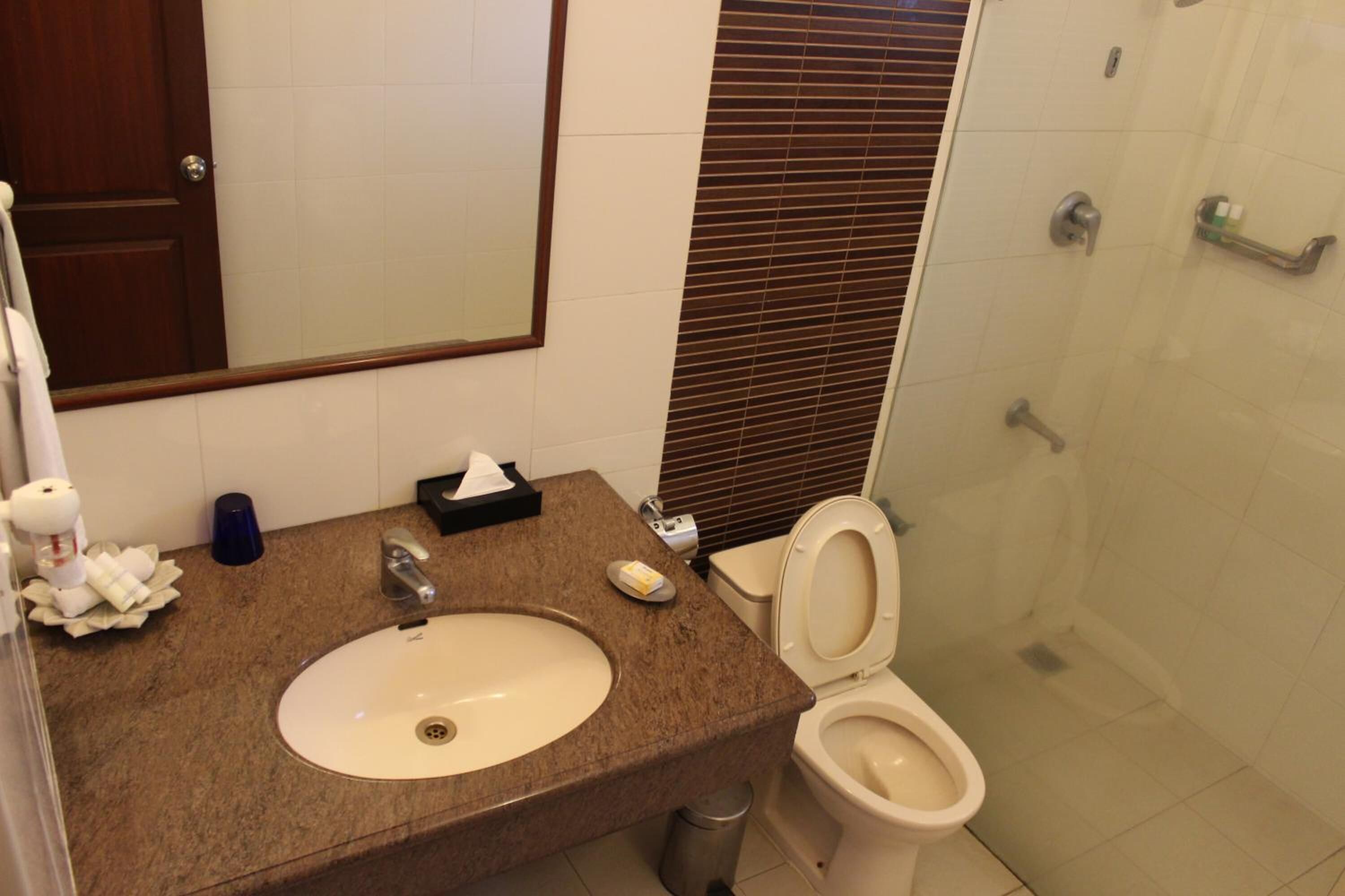 combined shower/bathtub, rainfall showerhead, hair dryer, bathrobes