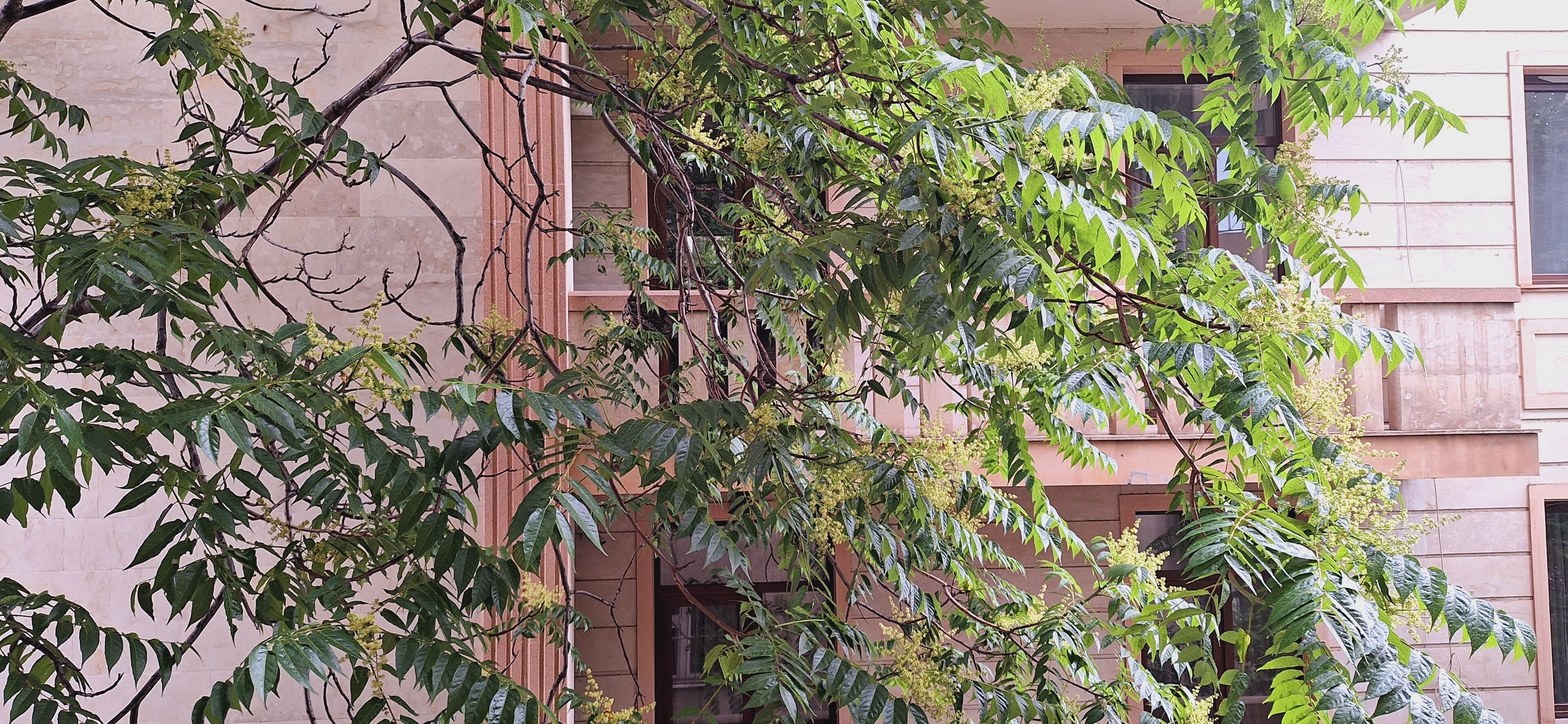 Photo - Iliani Hotel