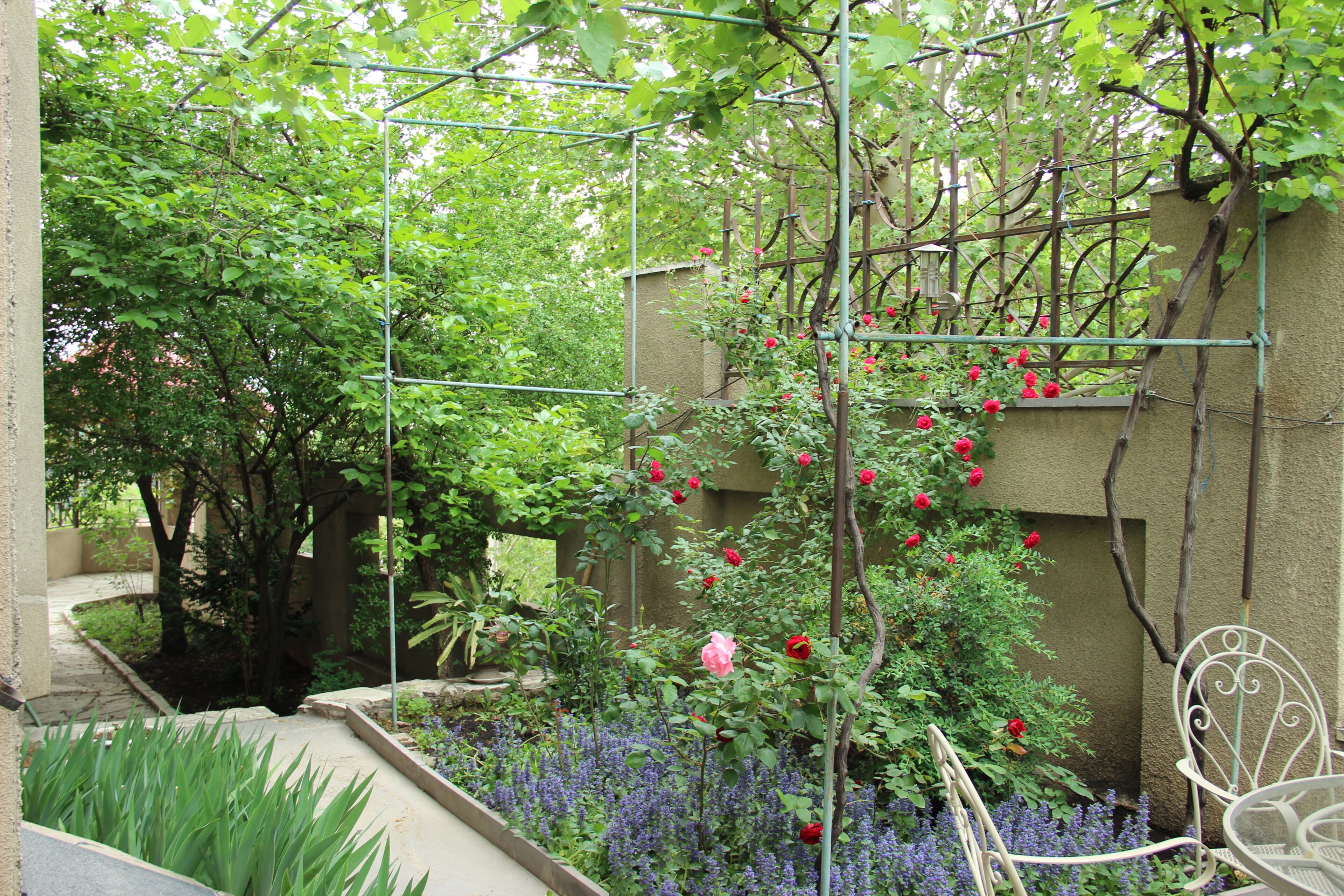 Foto - Iliani Hotel