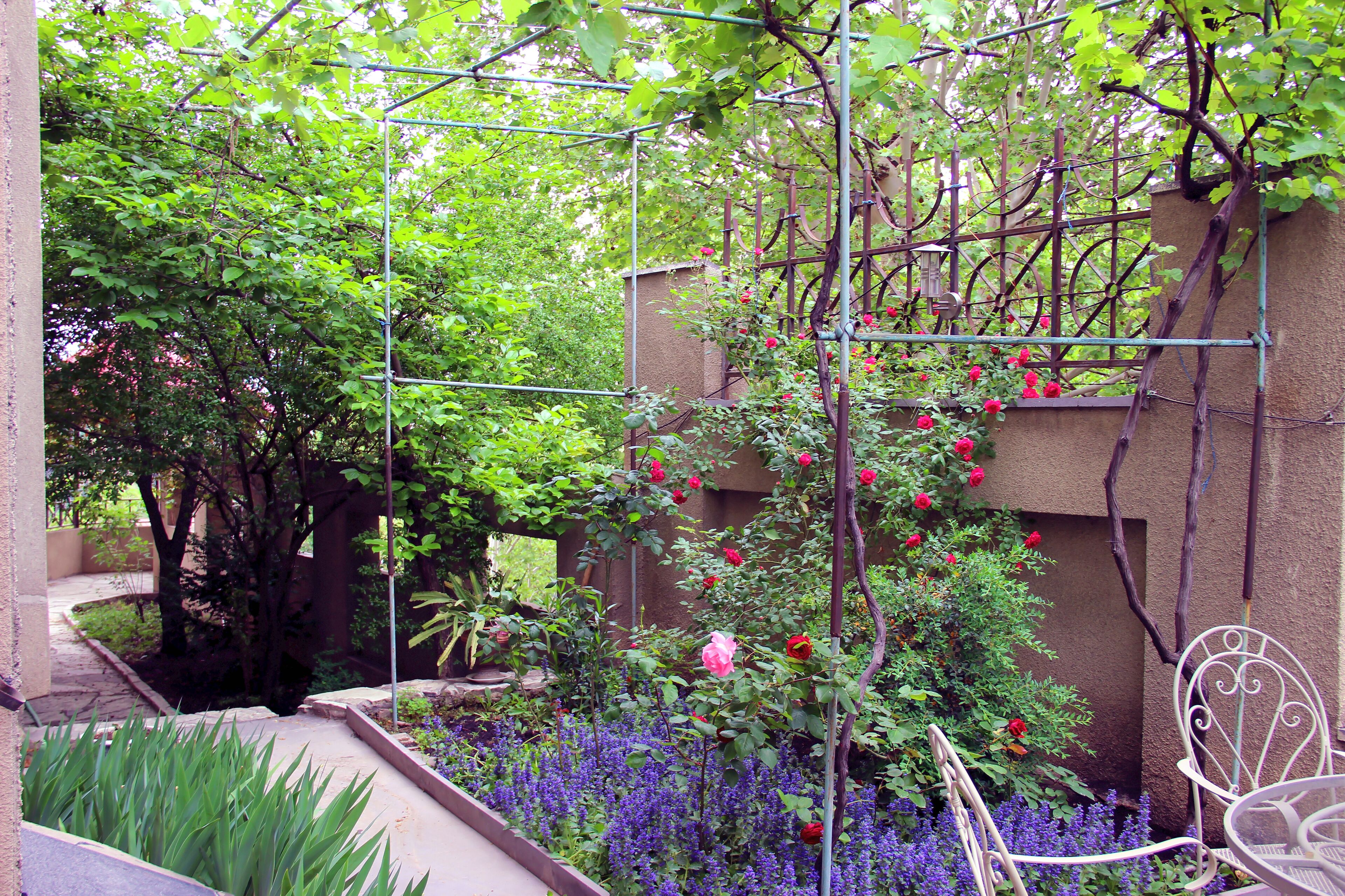 Photo - Iliani Hotel