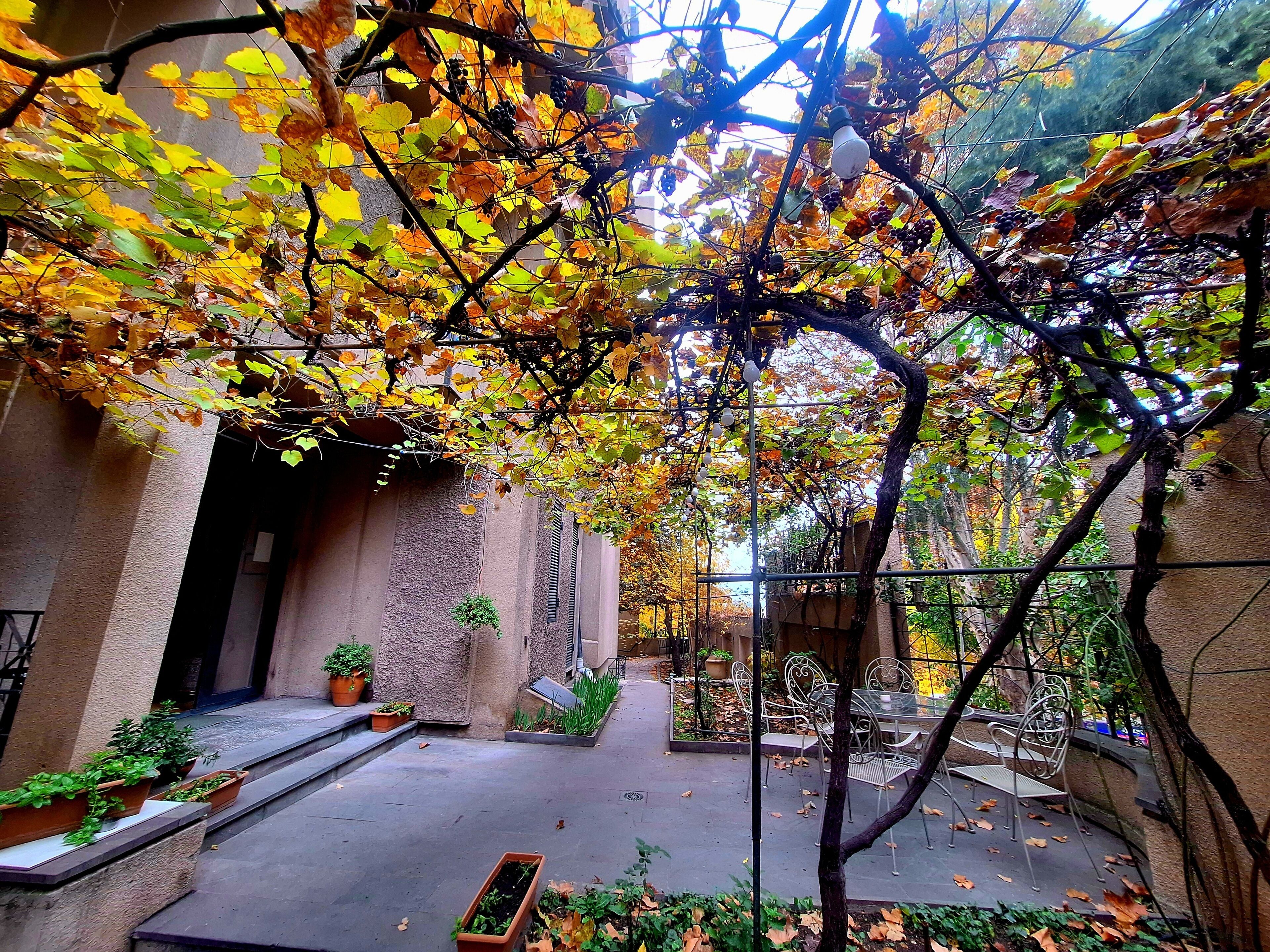 Photo - Iliani Hotel