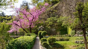 A stone pathway in a park with blooming pink trees and neatly trimmed bushes. - Iliani Hotel (Tbilisi)