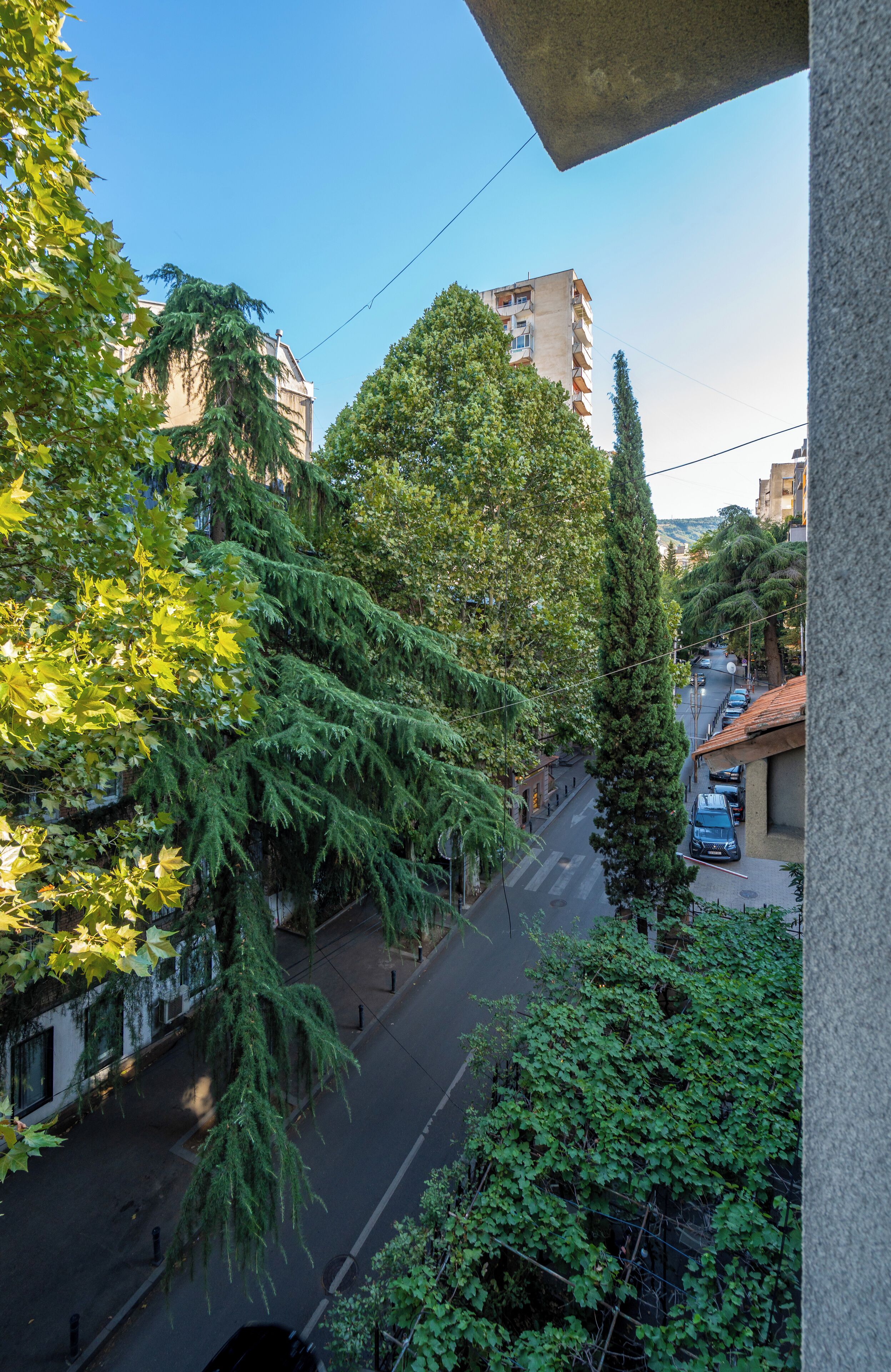 Photo - Iliani Hotel