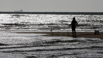 A beach with waves and a distant ship.