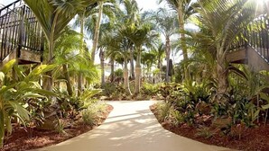 A pathway flanked by lush tropical plants and palm trees, leading to a building with a wooden staircase.