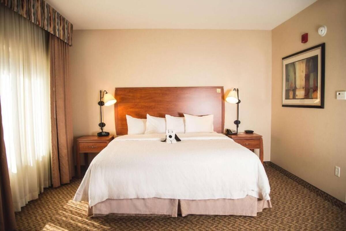 A hotel room with a large bed, two bedside tables, a headboard, a nightstand, a lamp, a framed picture on the wall, and a window with curtains.