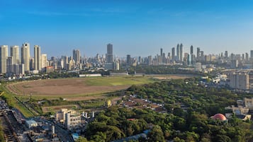 Un paisaje urbano con rascacielos, un amplio campo abierto y un estadio.