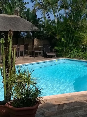 Una piscina al aire libre, sombrillas, sillones reclinables de piscina