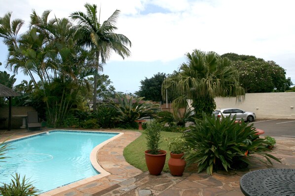 Outdoor pool, pool umbrellas, pool loungers