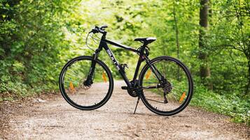 A bicycle parked on a dirt path surrounded by dense green foliage.