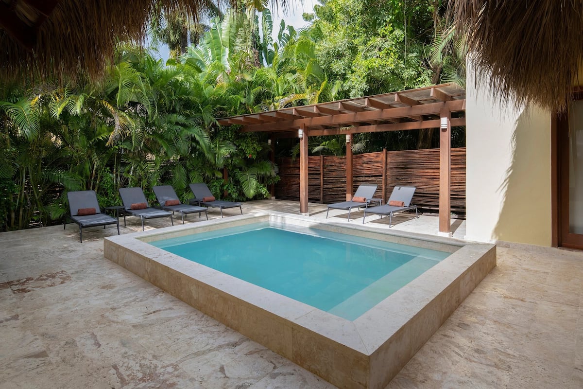 Una piscina rectangular amb una pèrgola i gandules en un entorn tropical.