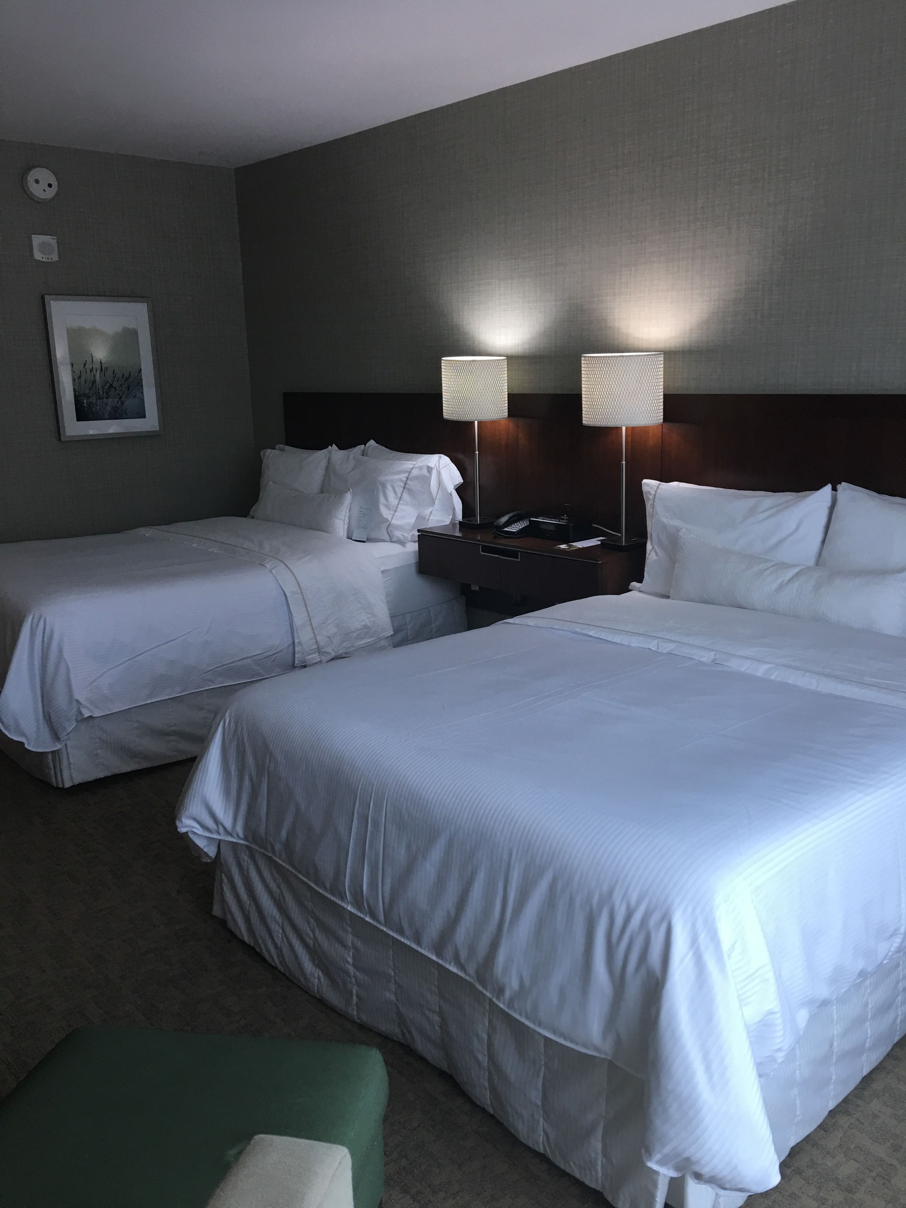 hypo-allergenic bedding, pillow-top beds, minibar, in-room safe