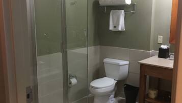 A modern bathroom with a glass-enclosed shower, a white toilet, and a sink with a mirror.