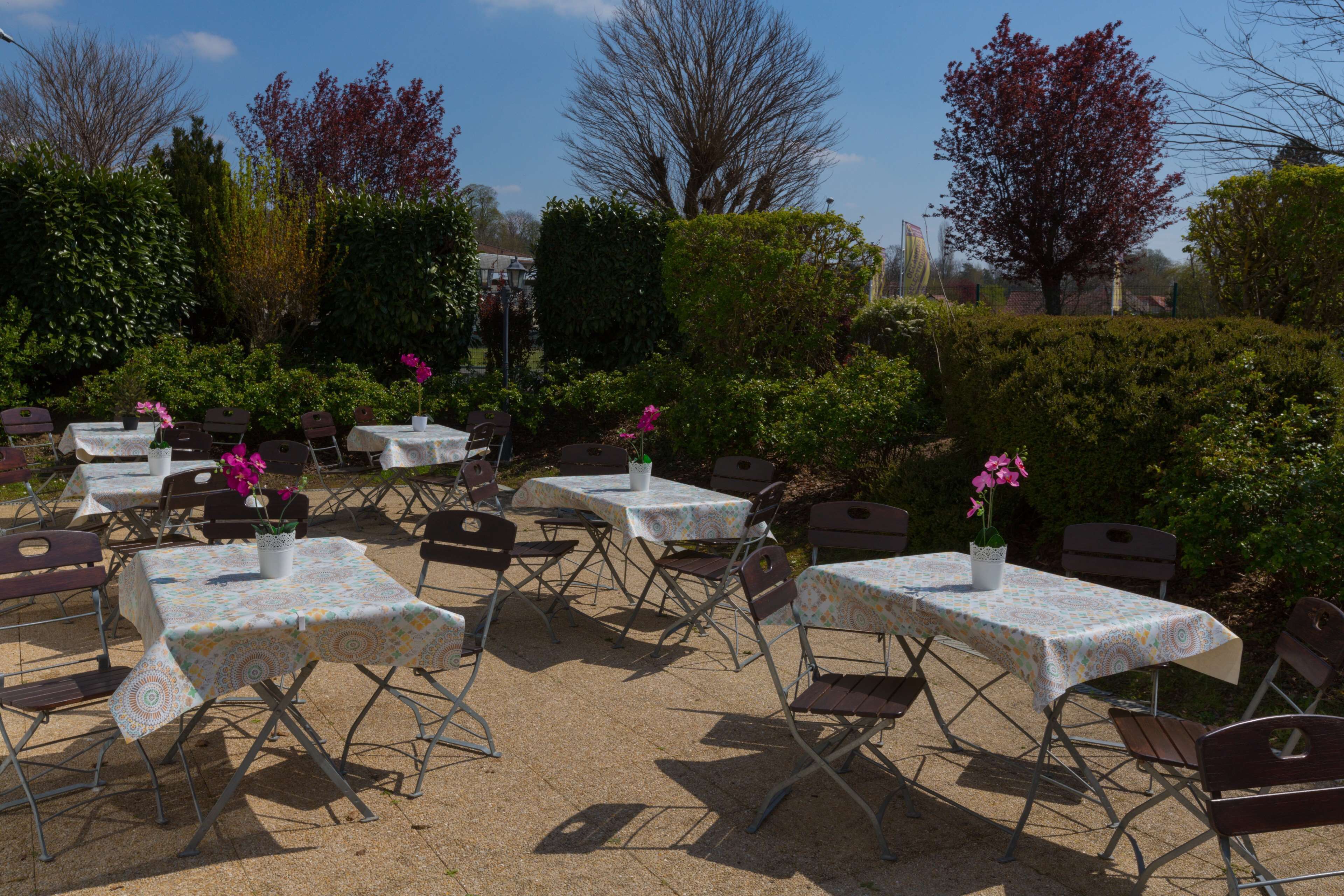 An outdoor seating area with tables and chairs, surrounded by greenery and trees.
