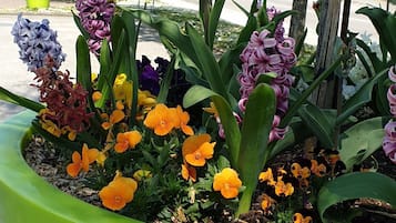 Jardín