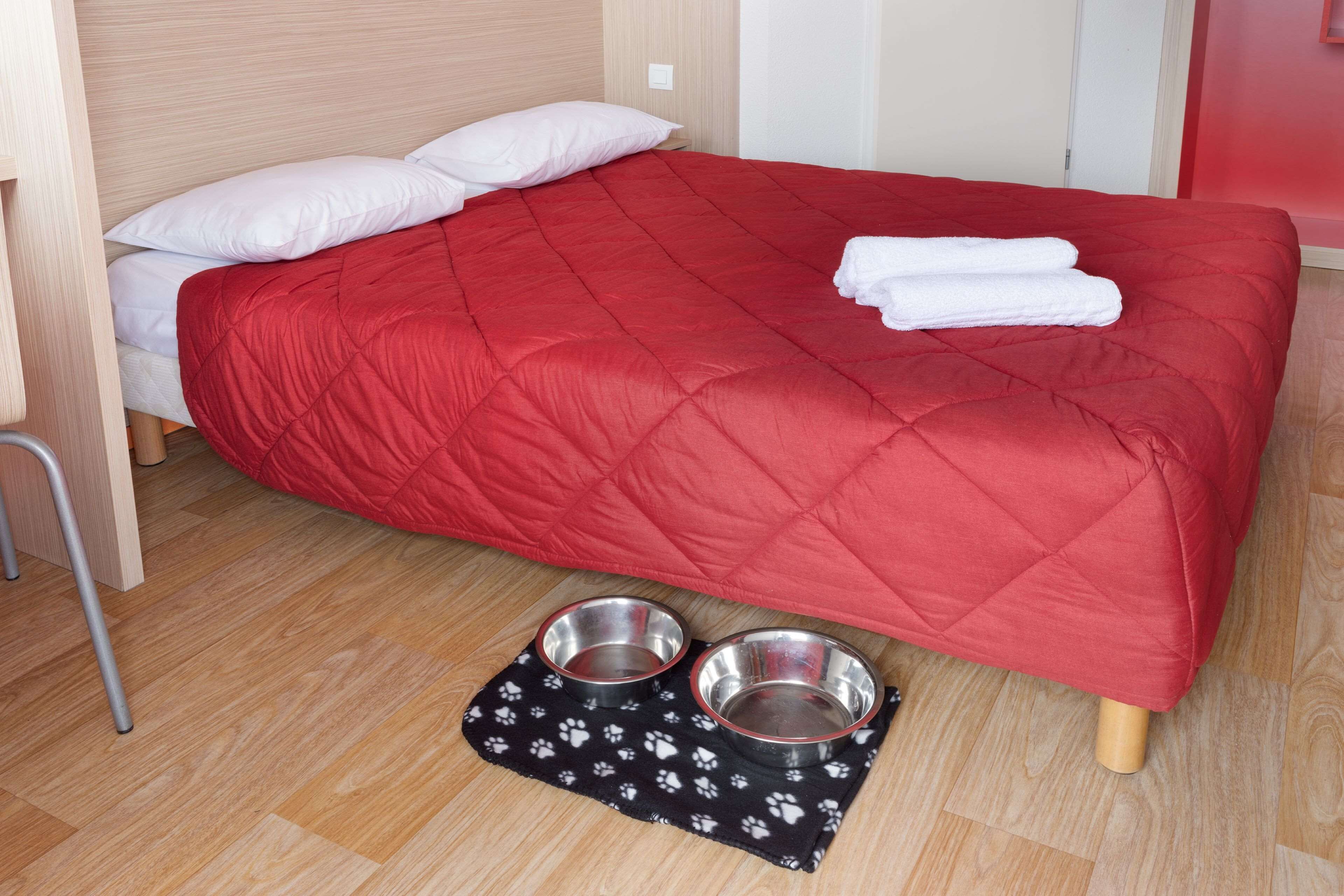 A single bed with a red quilt, two white pillows, and two metal pet bowls on a black mat with paw prints.