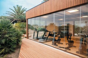 A modern gym with exercise equipment, large glass windows, and wooden deck.