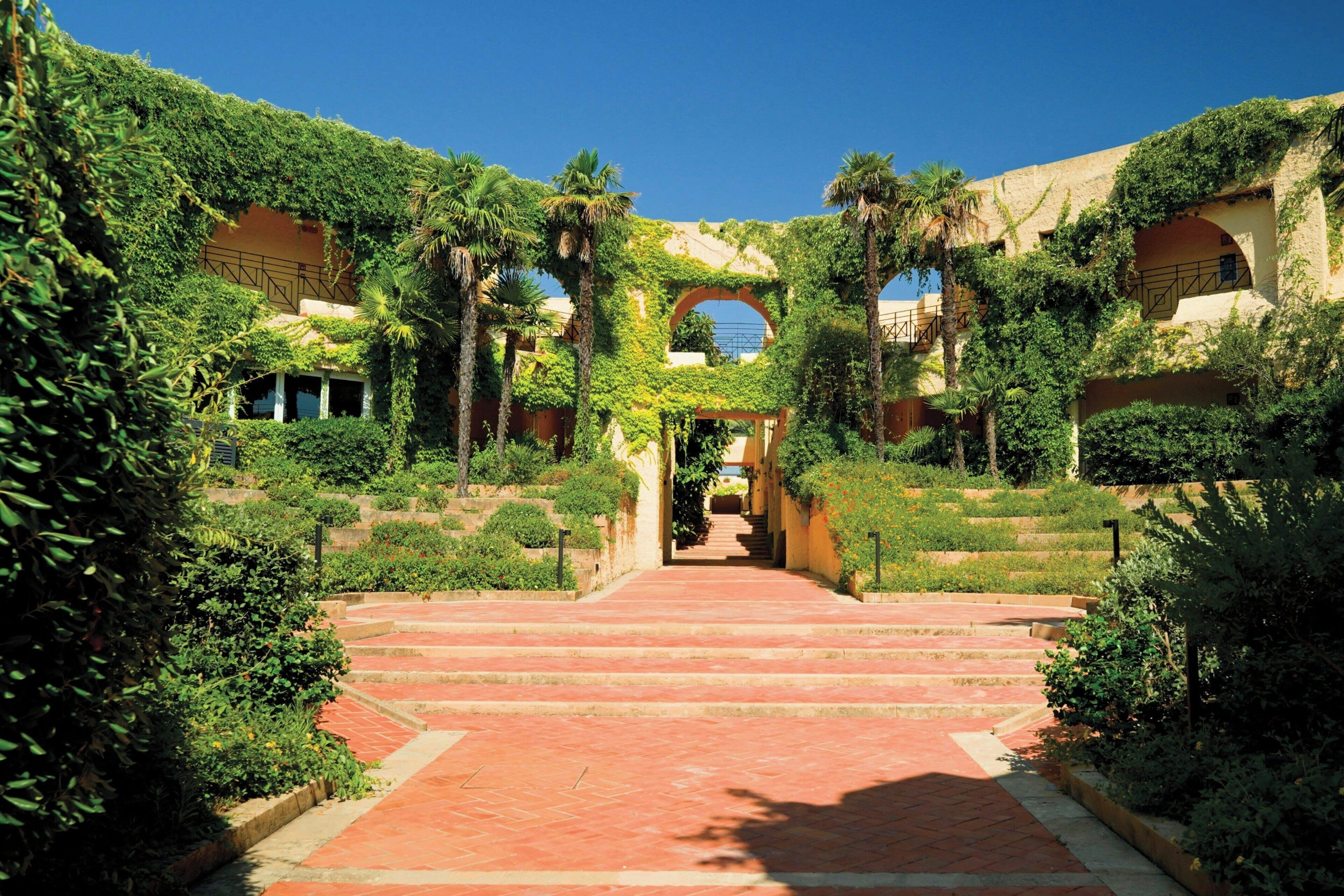 Un patio con una escalera central que conduce a un área techada, rodeado de exuberante vegetación y palmeras.