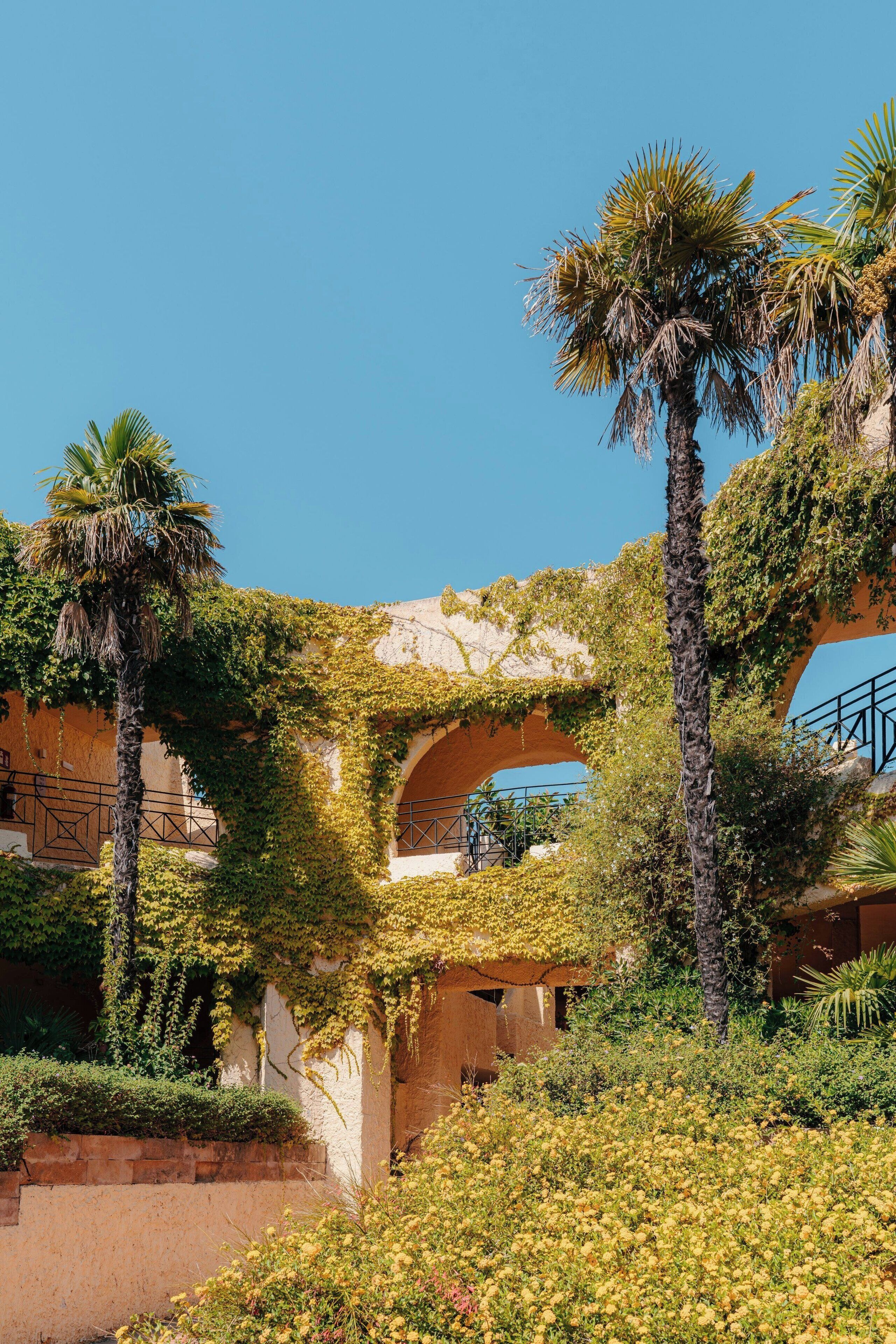 A building with arches covered in greenery, palm trees, and a garden with yellow flowers.