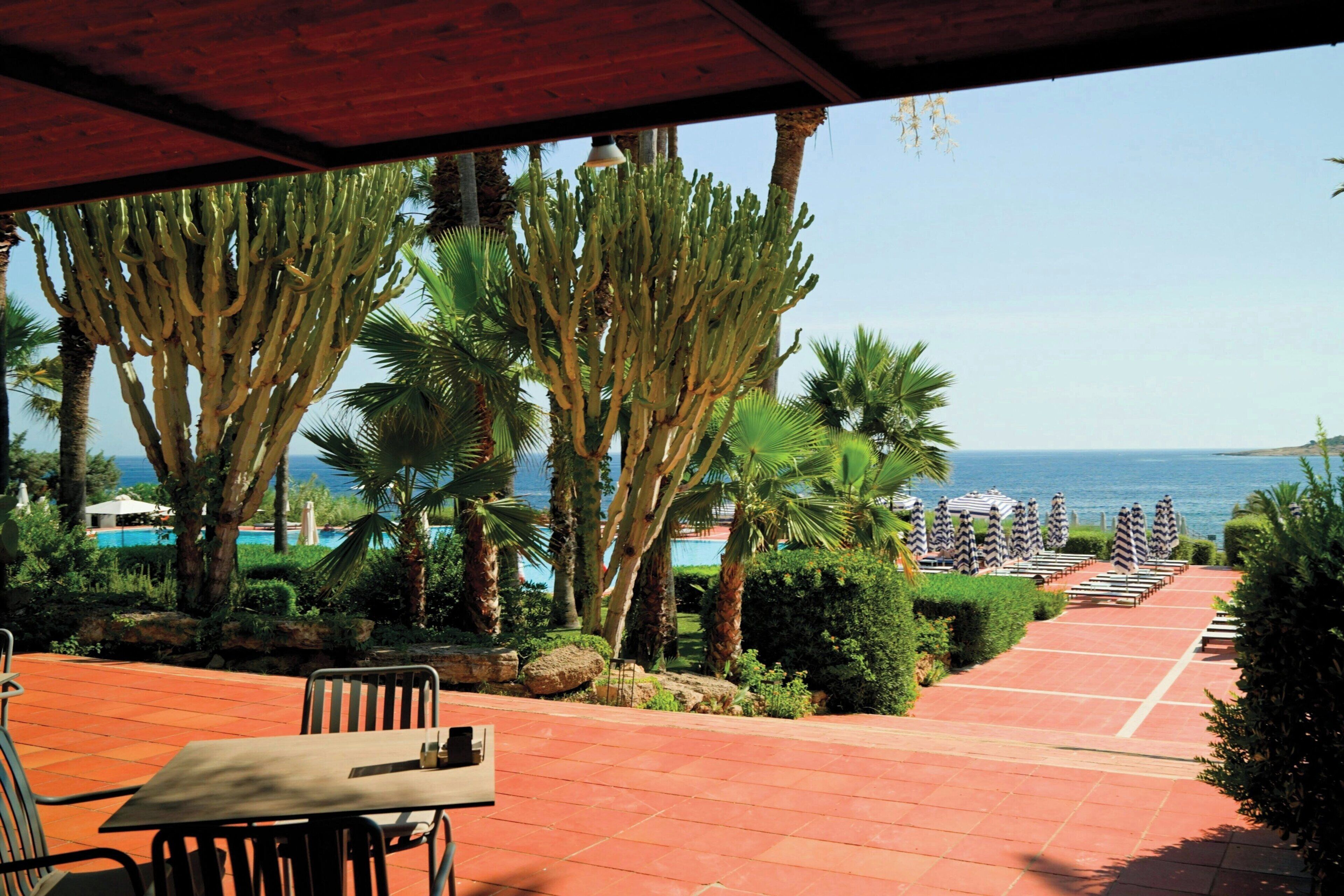 A patio with a table and chairs, palm trees, and a view of the sea.