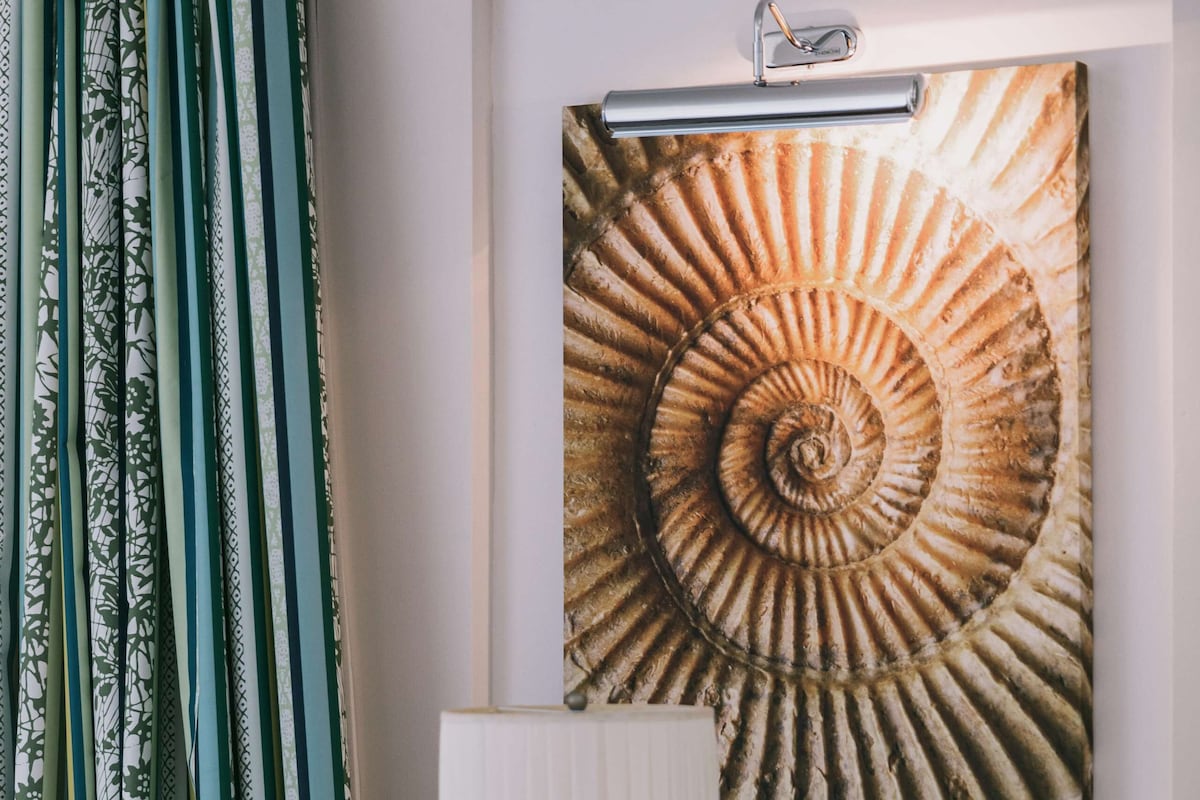A room with a wall-mounted artwork of a spiral shell, a bedside table with a lamp, and a patterned curtain.